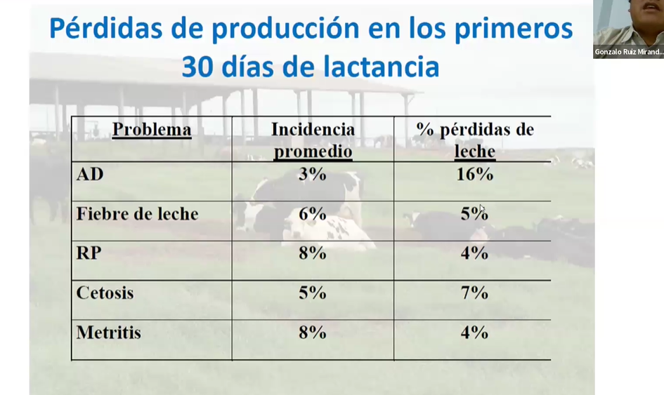 Introducción a la ecografía en vacas